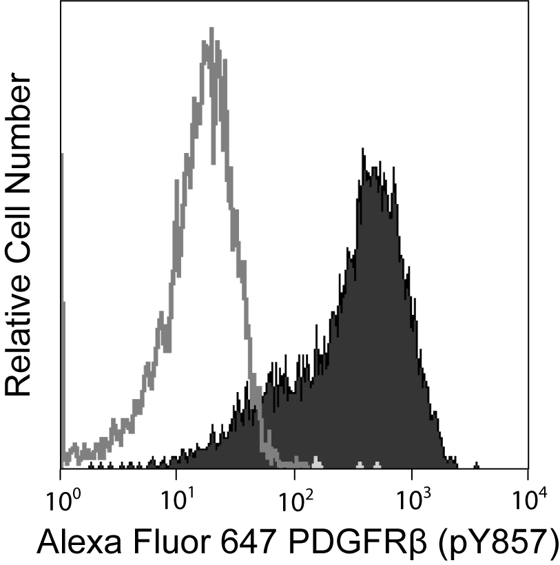 558428fig.png